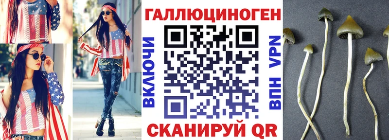 наркотики  Асино  blacksprut зеркало  Галлюциногенные грибы Psilocybe 