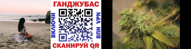 Бошки Шишки планчик  Асино 